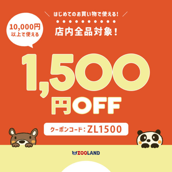【MAX1,500円OFF！クーポンも多数配布中】はじめてのお買い物で使えるクーポン！